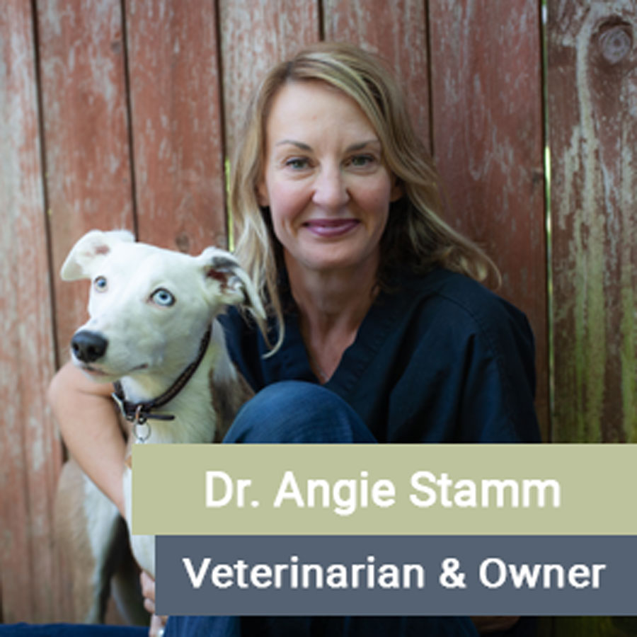 Team Vet In Fair Oaks Meridian Veterinary Care