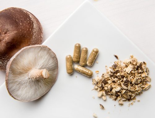 Make Room for ‘Shrooms—Medicinal Mushrooms for Pets