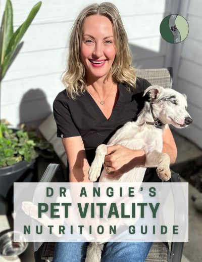 Vitality Guide - Vet in Folsom | Meridian Veterinary Care